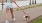 a woman walking a dog on a leash