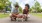 a man and woman with dogs