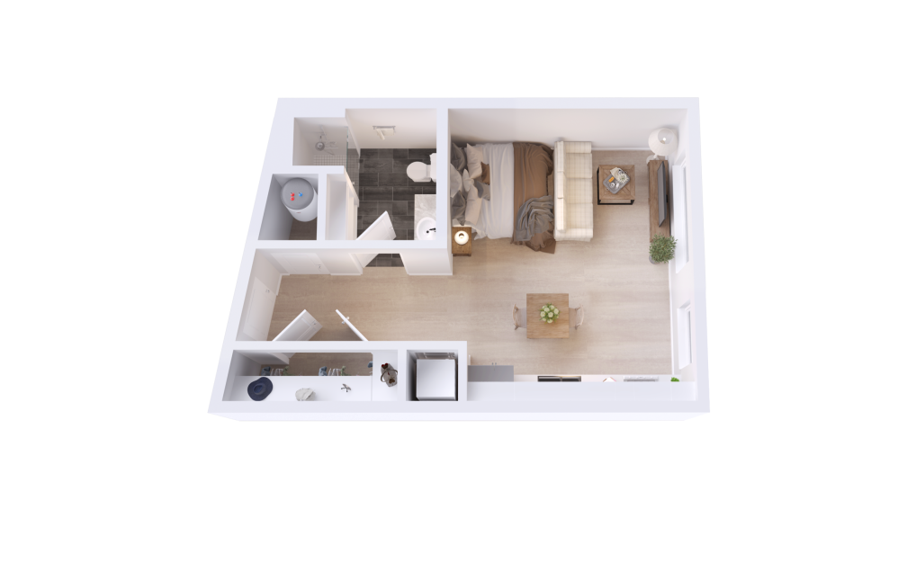 S1 - Studio floorplan layout with 1 bathroom and 491 square feet (3D)